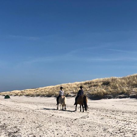 Amare Dierhagen Buitenkant foto