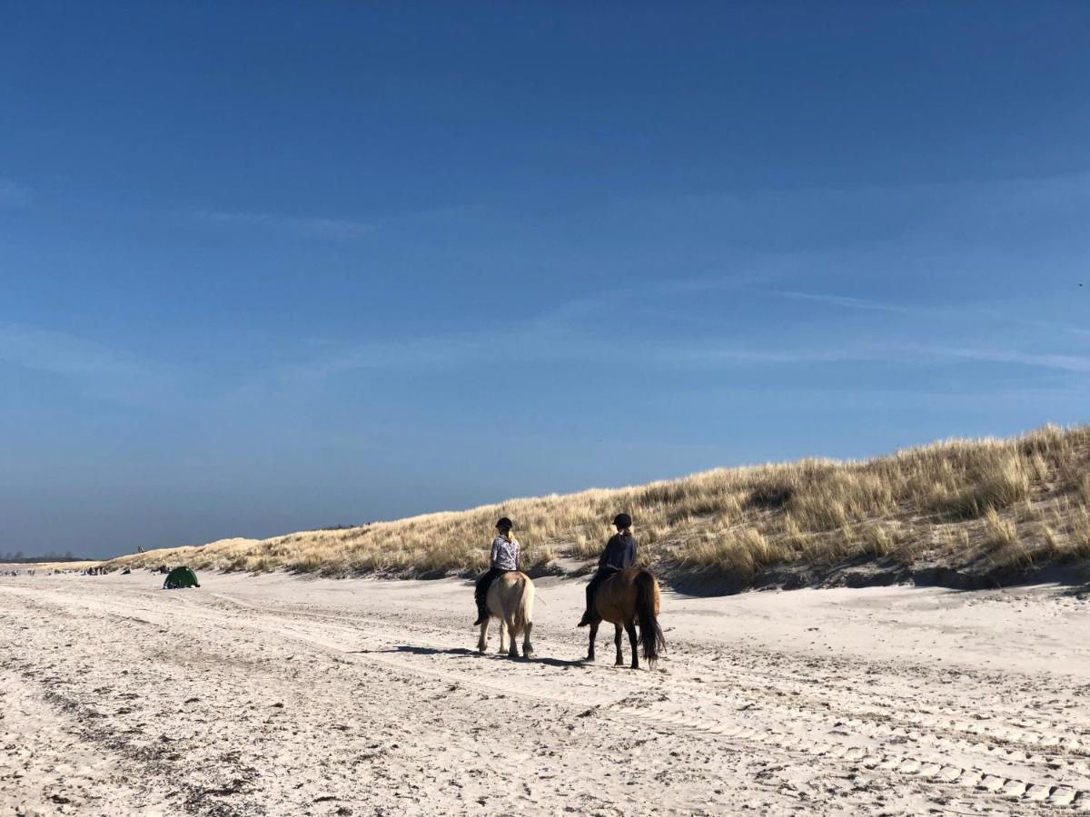 Amare Dierhagen Buitenkant foto